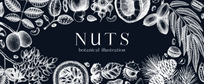 Vector nuts banner on chalkboard. Vintage nuts background in sketched style. Healthy food ingredients template with botanical illustrations. Realistic branches, plants, fruits, nutshells sketches.